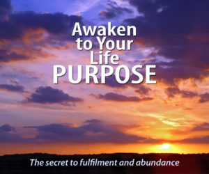Awaken to Your Life Purpose - A 2-Day Experiential Course